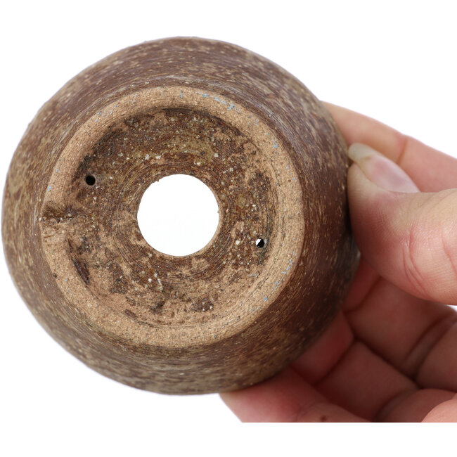 Round brown bonsai pot by Bonsai - 68 x 68 x 45 mm