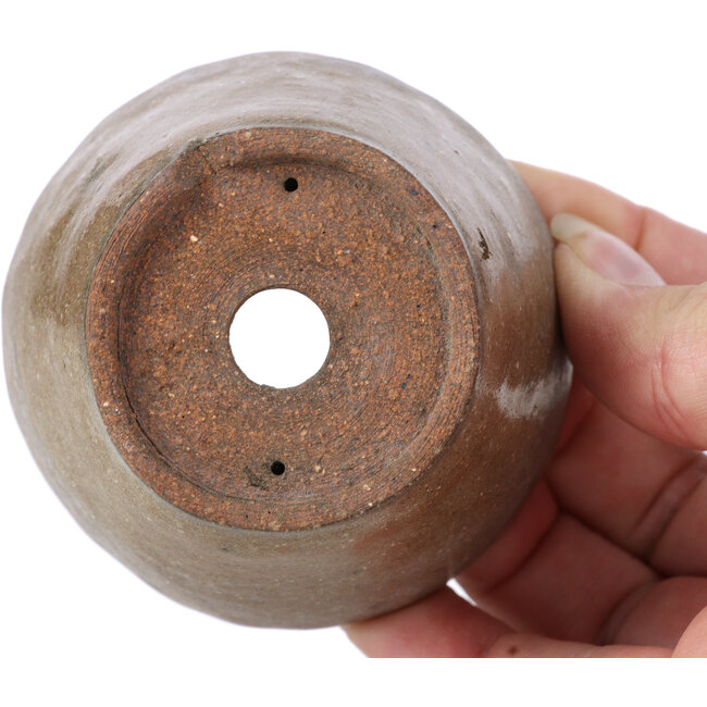 Maceta de bonsái redonda beige de Bonsai - 72 x 72 x 43 mm