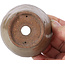 Pot à bonsaï rond beige par Bonsai - 72 x 72 x 43 mm
