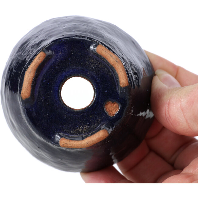 Vaso per bonsai rotondo blu di Bonsai - 69 x 69 x 41 mm