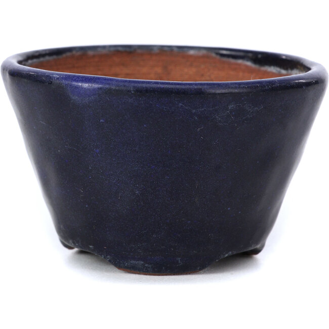 Vaso per bonsai rotondo blu di Bonsai - 70 x 70 x 45 mm