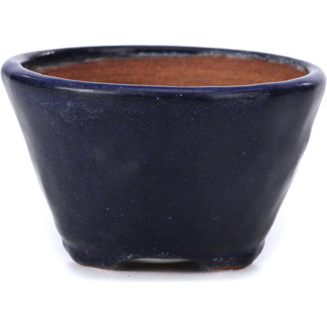 Round blue bonsai pot by Bonsai - 70 x 70 x 45 mm