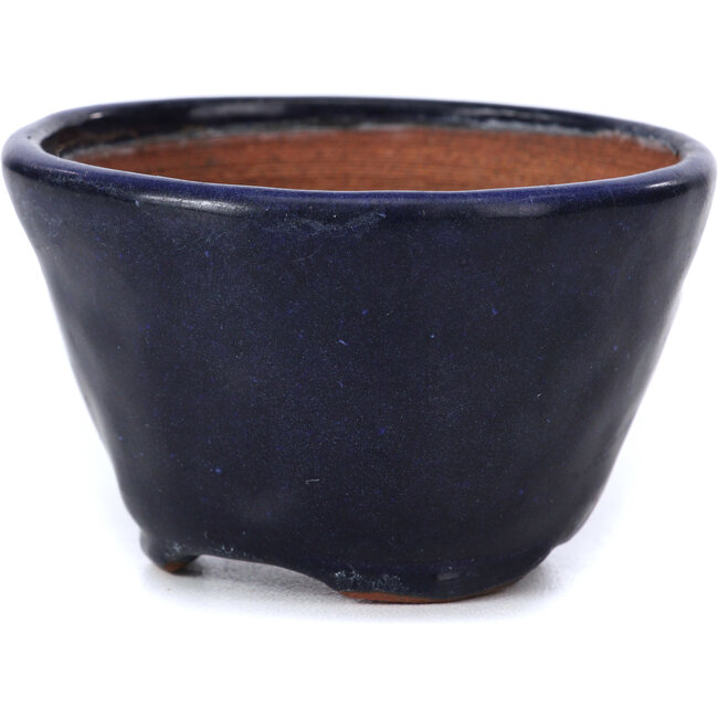 Maceta de bonsái redonda azul de Bonsai - 70 x 70 x 45 mm