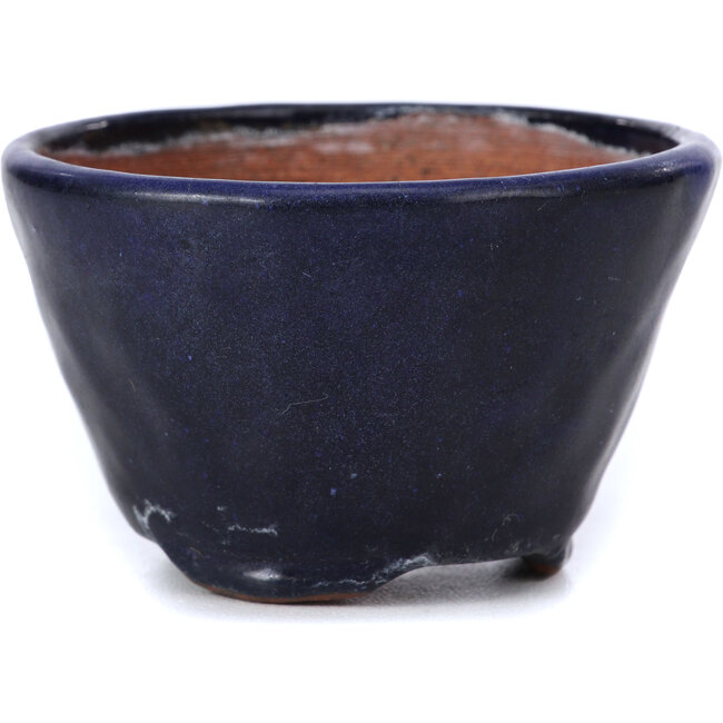 Round blue bonsai pot by Bonsai - 70 x 70 x 45 mm