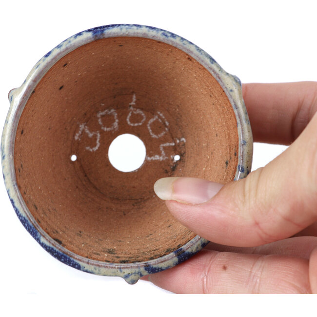 Round blue bonsai pot by Bonsai - 70 x 70 x 35 mm