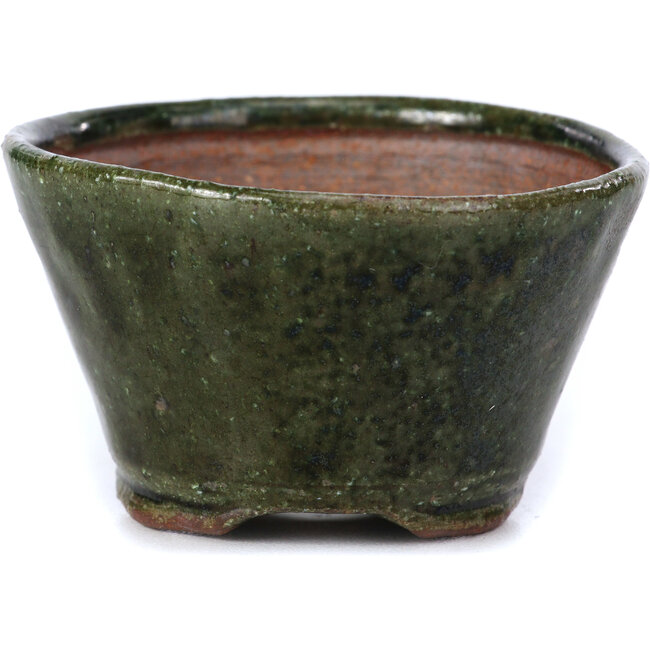 Maceta de bonsái verde redonda de Bonsai - 75 x 70 x 43 mm