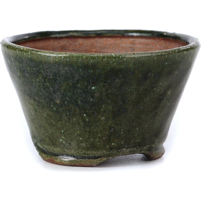 Vaso per bonsai verde rotondo di Bonsai - 75 x 70 x 43 mm