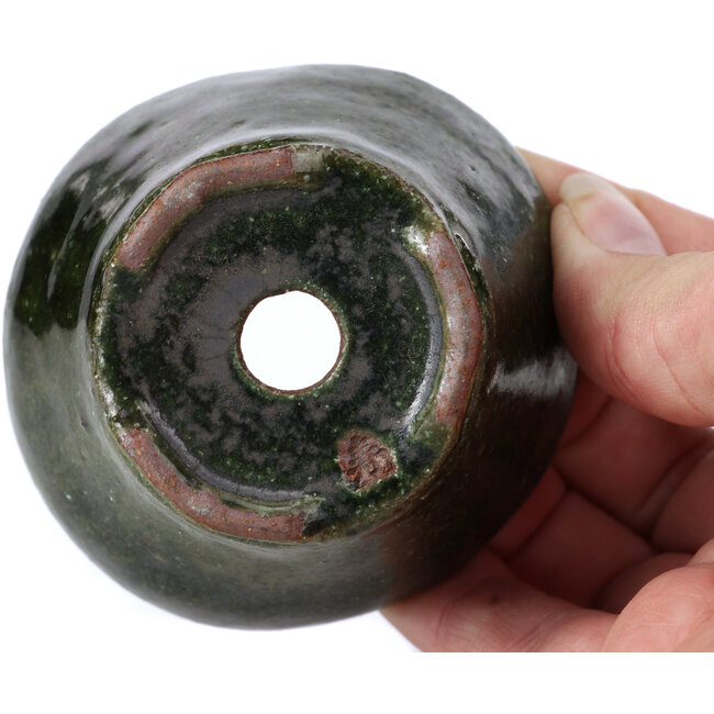 Vaso per bonsai verde rotondo di Bonsai - 75 x 70 x 43 mm