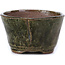 Round green bonsai pot by Bonsai - 63 x 63 x 37 mm