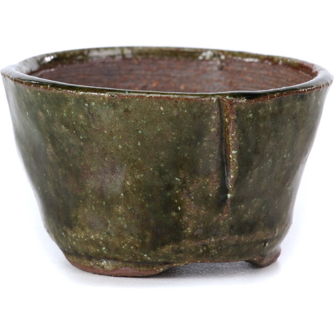 Vaso per bonsai verde rotondo di Bonsai - 63 x 63 x 37 mm