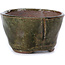 Round green bonsai pot by Bonsai - 63 x 63 x 37 mm