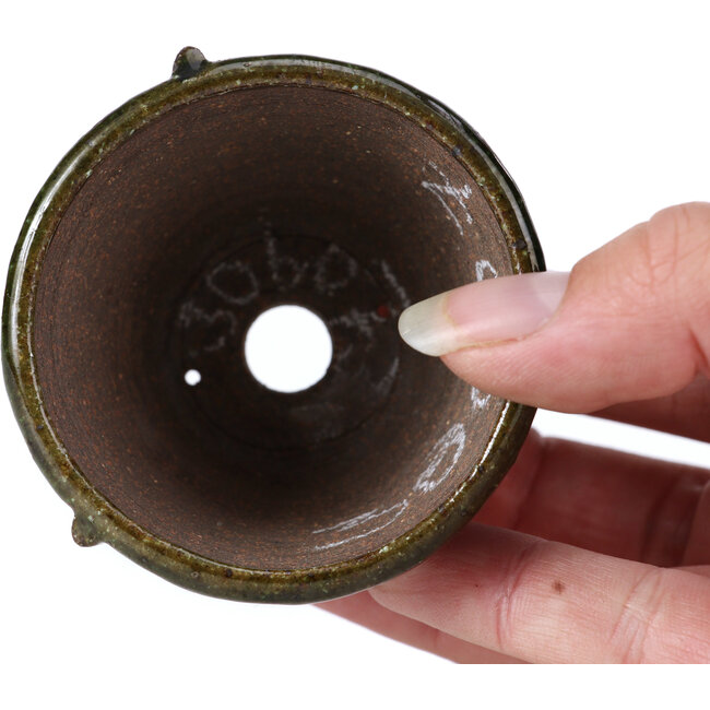 Ronde groene bonsaipot van Bonsai - 63 x 63 x 45 mm