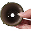 Pot à bonsaï rond vert par Bonsai - 63 x 63 x 45 mm