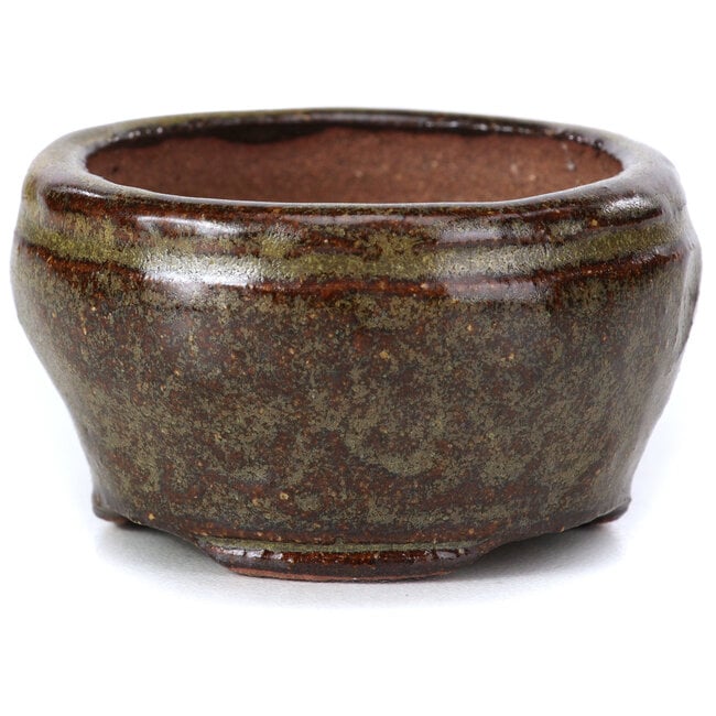 Vaso per bonsai verde rotondo di Bonsai - 58 x 58 x 32 mm