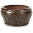 Pot à bonsaï rond vert par Bonsai - 58 x 58 x 32 mm