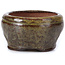 Pot à bonsaï rond vert par Bonsai - 58 x 58 x 32 mm