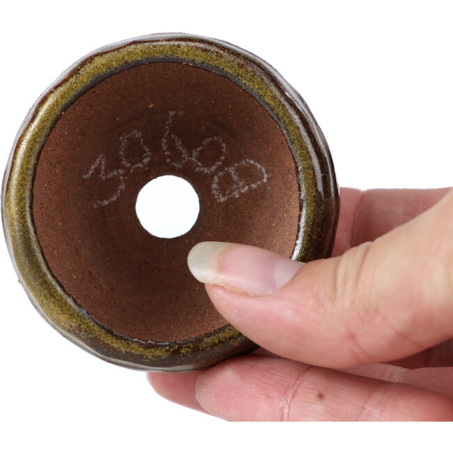 Vaso per bonsai verde rotondo di Bonsai - 58 x 58 x 32 mm