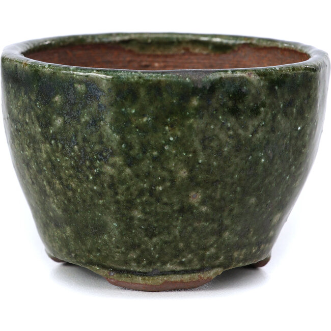 Pot à bonsaï rond vert par Bonsai - 67 x 67 x 45 mm