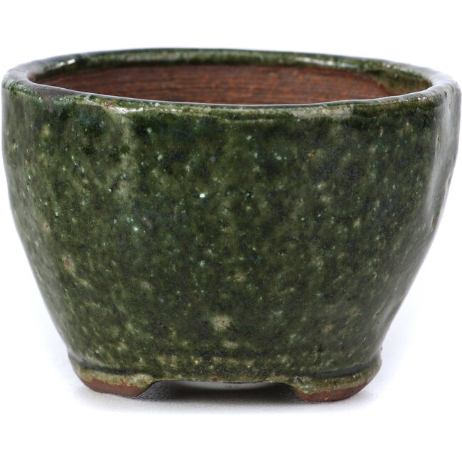 Pot à bonsaï rond vert par Bonsai - 67 x 67 x 45 mm