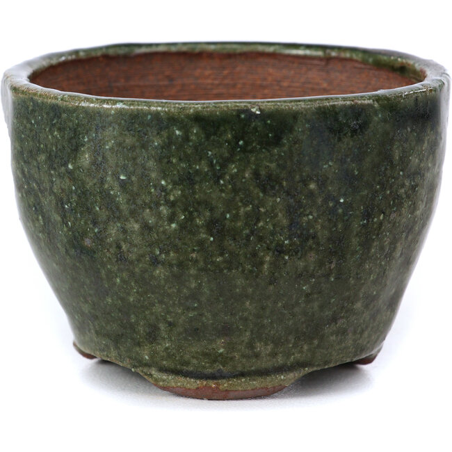Runde grüne Bonsaischale von Bonsai - 67 x 67 x 45 mm