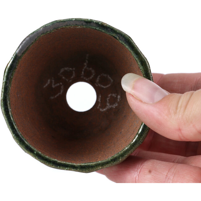 Maceta de bonsái verde redonda de Bonsai - 67 x 67 x 45 mm