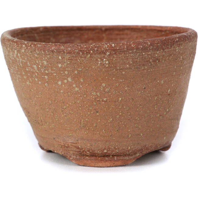 Pot à bonsaï rond marron par Bonsai - 65 x 65 x 35 mm