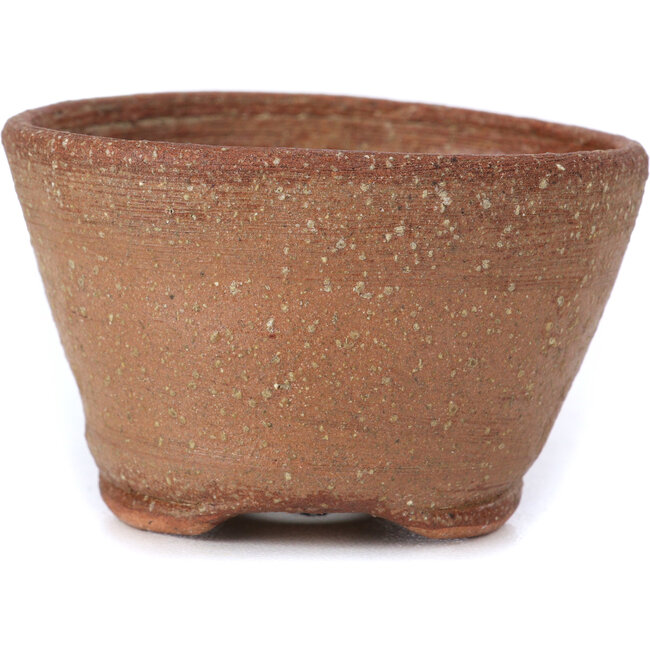 Pot à bonsaï rond marron par Bonsai - 65 x 65 x 35 mm