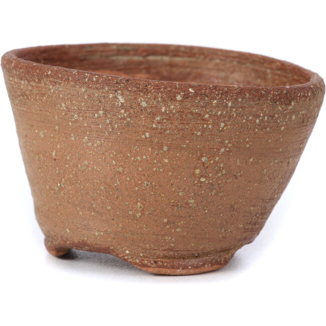 Pot à bonsaï rond marron par Bonsai - 65 x 65 x 35 mm