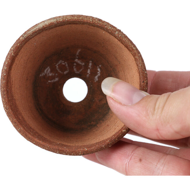 Ronde bruine bonsaipot van Bonsai - 65 x 65 x 35 mm