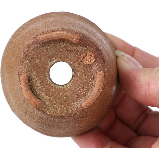 Maceta de bonsái marrón redonda de Bonsai - 65 x 65 x 35 mm