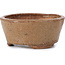 Ronde beige bonsaipot van Bonsai - 77 x 73 x 33 mm