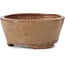 Vaso per bonsai rotondo beige di Bonsai - 77 x 73 x 33 mm