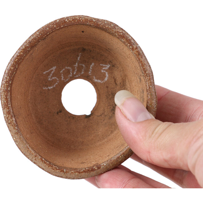 Ronde beige bonsaipot van Bonsai - 77 x 73 x 33 mm