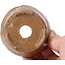 Runde beige Bonsaischale von Bonsai - 77 x 73 x 33 mm