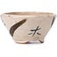 Vaso per bonsai rotondo beige di Bonsai - 69 x 69 x 35 mm