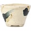 Vaso per bonsai rotondo beige di Bonsai - 65 x 65 x 45 mm