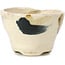 Vaso per bonsai rotondo beige di Bonsai - 65 x 65 x 45 mm