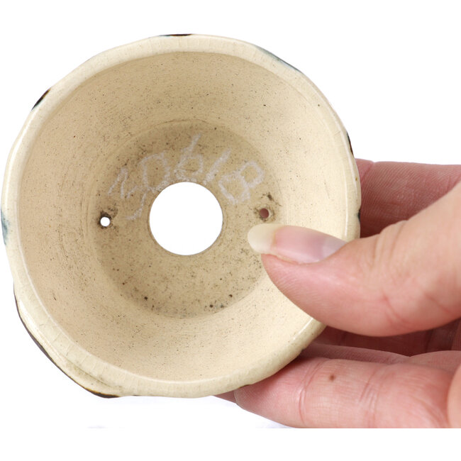 Runde beige Bonsaischale von Bonsai - 70 x 70 x 38 mm