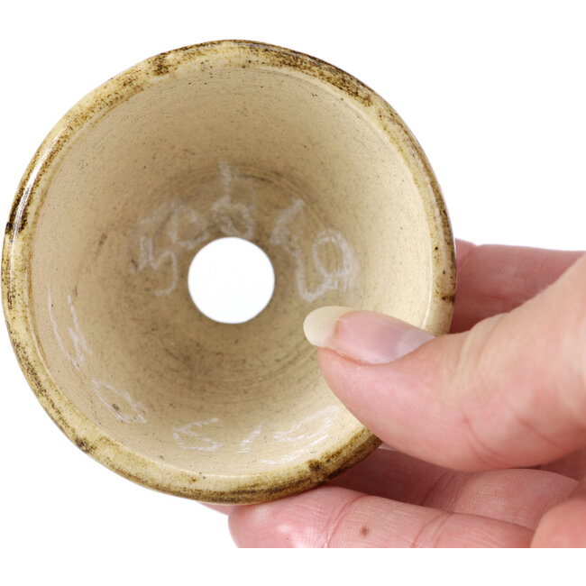 Ronde beige bonsaipot van Bonsai - 65 x 65 x 40 mm