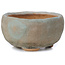 Round blue bonsai pot by Bonsai - 70 x 70 x 36 mm