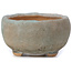 Round blue bonsai pot by Bonsai - 70 x 70 x 36 mm