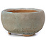 Round blue bonsai pot by Bonsai - 70 x 70 x 36 mm