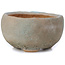 Round blue bonsai pot by Bonsai - 70 x 70 x 36 mm