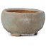 Round blue bonsai pot by Bonsai - 70 x 70 x 36 mm