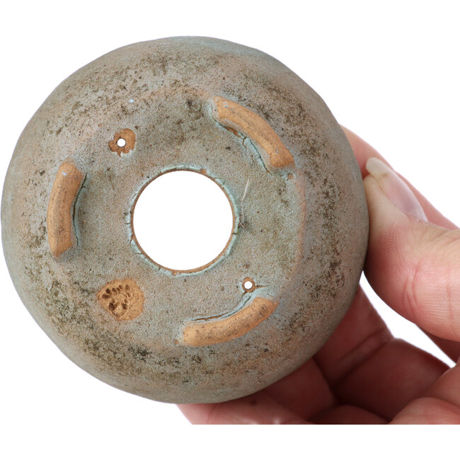 Pot à bonsaï rond bleu par Bonsai - 70 x 70 x 36 mm