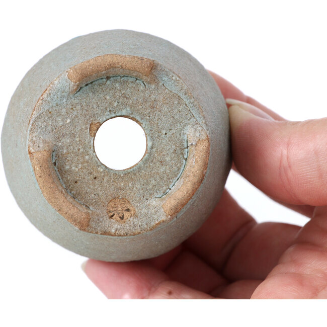 Maceta de bonsái redonda azul de Bonsai - 57 x 57 x 40 mm