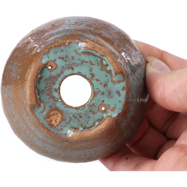 Round blue bonsai pot by Bonsai - 75 x 75 x 36 mm