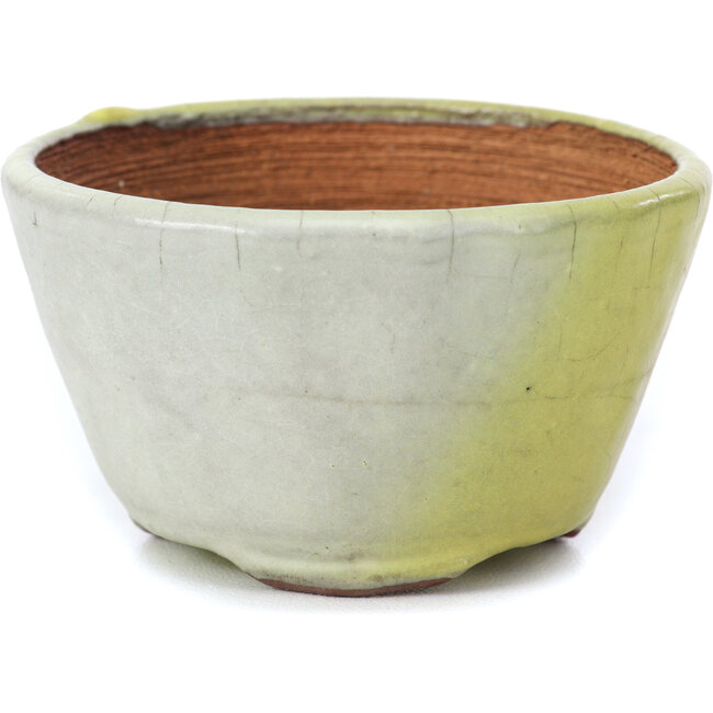 Round grey and yellow bonsai pot by Bonsai - 70 x 70 x 40 mm