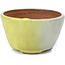 Vaso per bonsai rotondo grigio e giallo di Bonsai - 70 x 70 x 40 mm