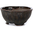 Round brown bonsai pot by Bonsai - 74 x 74 x 37 mm